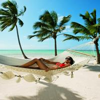 Отзыв от Нелли - DTV виза